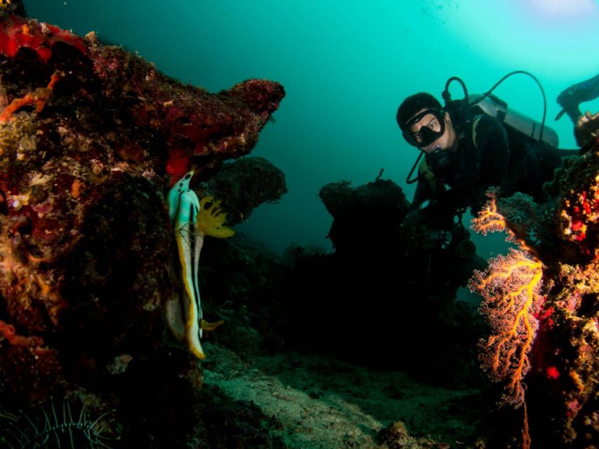 Scuba Diving in Boracay: SSI Advanced OW Certification - Experience and Highlights