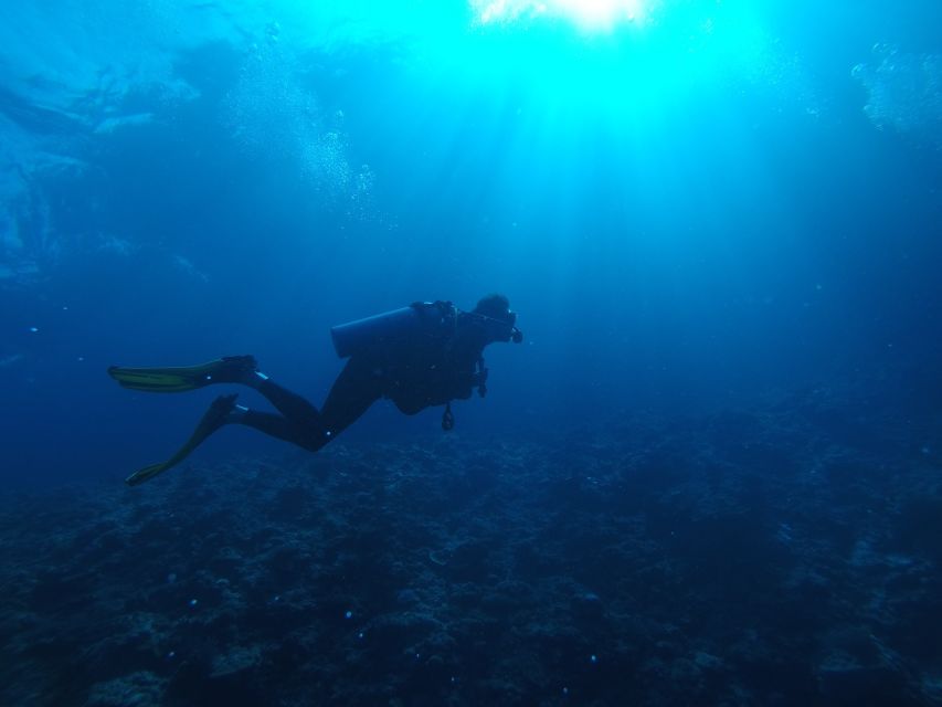 Scuba Diving in Colombo - Equipment and Guides