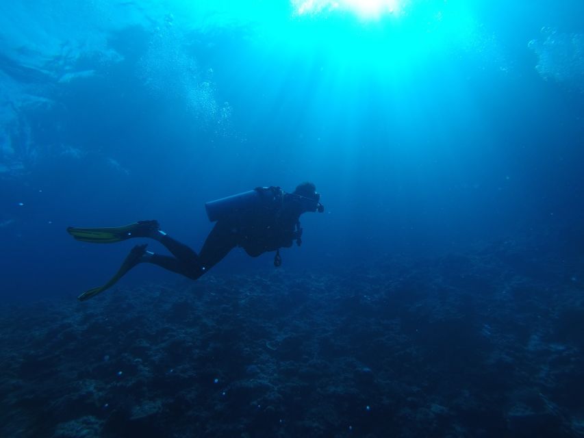 Scuba Diving in Kalpitiya - Location & Features