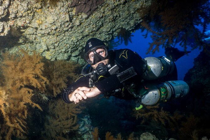 Scuba Diving Multi Dives in Playa De La Americas - Experience Overview