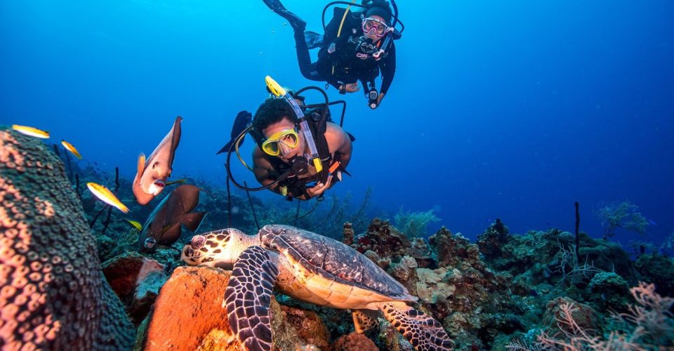 Scuba Diving Tour With Transfer From Alanya and City of Side - Experience and Safety