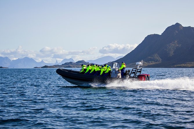 Sea Eagle Safari From Svolvær to Trollfjorden - Enjoy Unobstructed Views and Photography