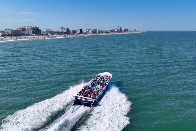 Sea Rocket Speed Boat & Dolphin Cruise in Ocean City - Additional Information