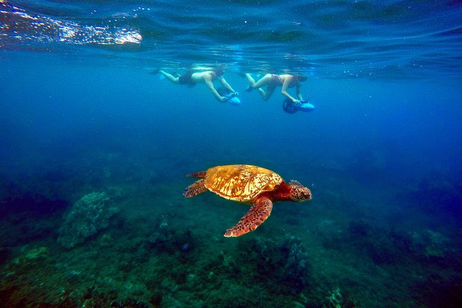 Sea Scooter Snorkeling Tour - Wailea Beach - Inclusions and Logistics