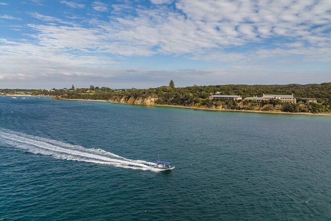 Seal and Dolphin Watching Eco Boat Cruise Mornington Peninsula - Customer Reviews and Ratings