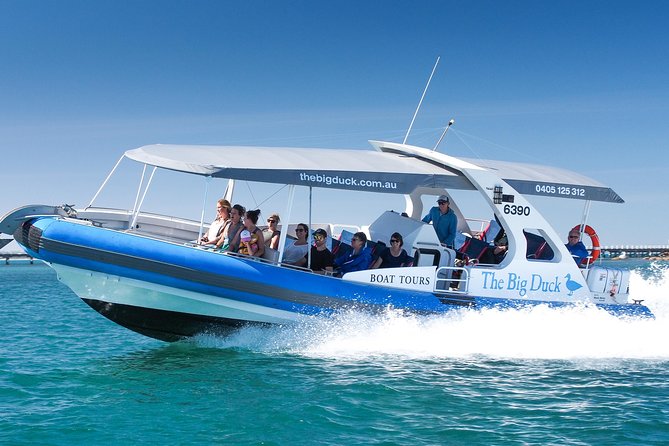 Seal Island Boat Tour From Victor Harbor - Meeting and Pickup Information