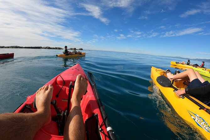 Seal Kayaking Adventure in Kaikoura - Meeting Details