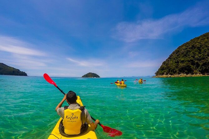 Seal Sanctuary Tour - Guided Kayaking - New Zealand - Inclusions and Logistics