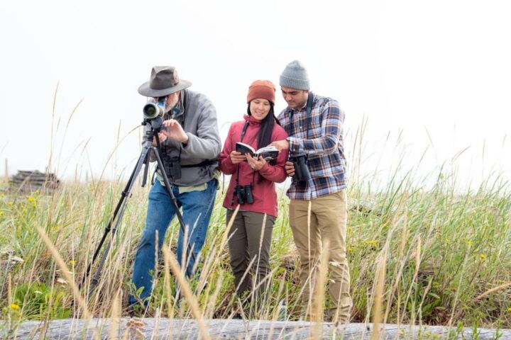 Seattle: Whidbey Island Deception Pass Winter Birding Trip - Highlights