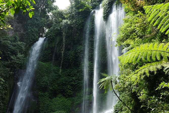 Sekumpul and Banyumala Waterfalls Hiking Tour (Private & All-Inclusive ) - Inclusions and Highlights