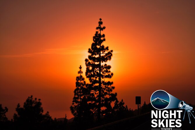 Self Driving Sunset and Stargazing in Teide National Park - Meeting Point Details