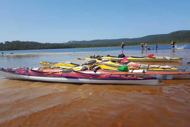 Self-Guided Noosa Everglades Kayak Tour - Meeting Point and Start Time