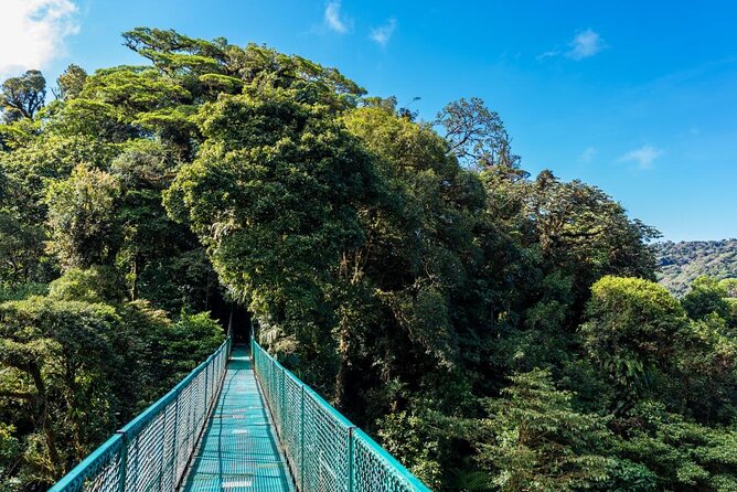 Selvatura Park Hanging Bridge Tour in Monteverde - Visitor Experiences