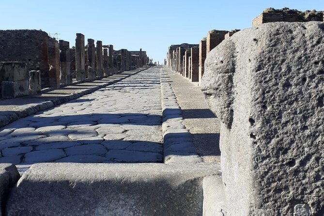 Semi - Private Tour of Pompeii With an Archeologist - Reviews