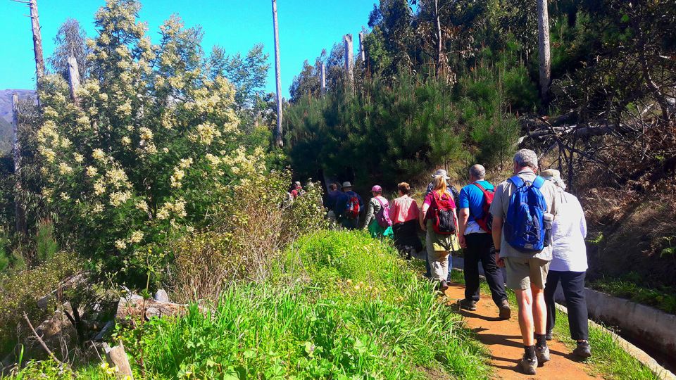 Serra De Água Valley Levada Walk - Experience Highlights