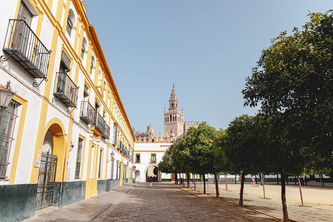 Seville Alcazar: Before the Crowds VIP Access Small Group Tour - Accessibility Considerations