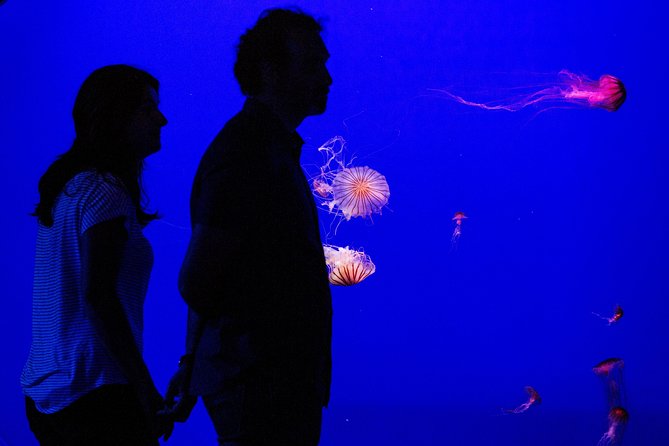 Seville Aquarium Admission Ticket - Marine Life Exhibits and Insights