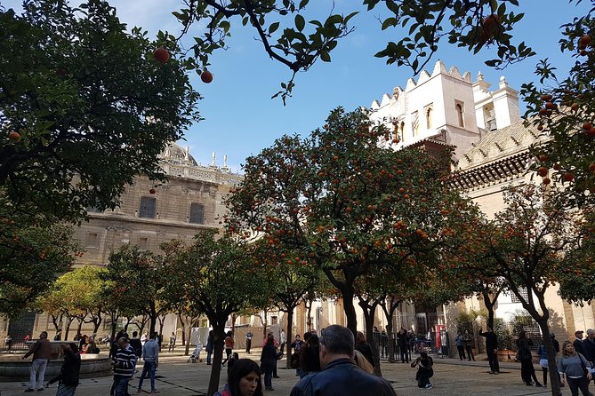 Seville Cathedral Tour Including Tickets and Skip the Line Entry - Cancellation Policy