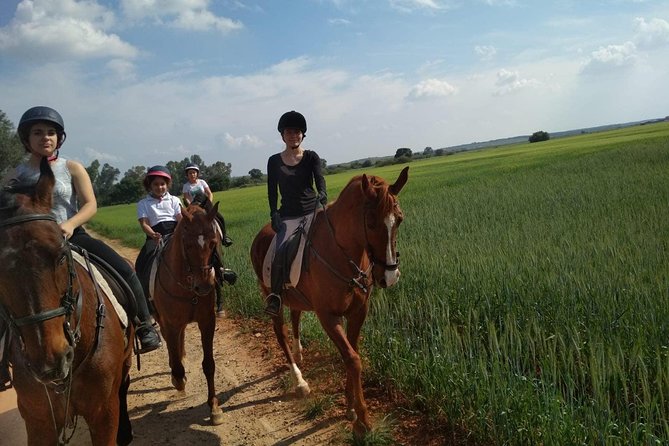 Seville Private Horseback Riding Tour (Mar ) - Guide Expertise