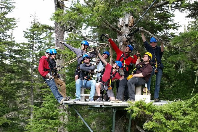 Seward Alaska Small-Group Ziplining Experience in Nature - Check-In Requirements
