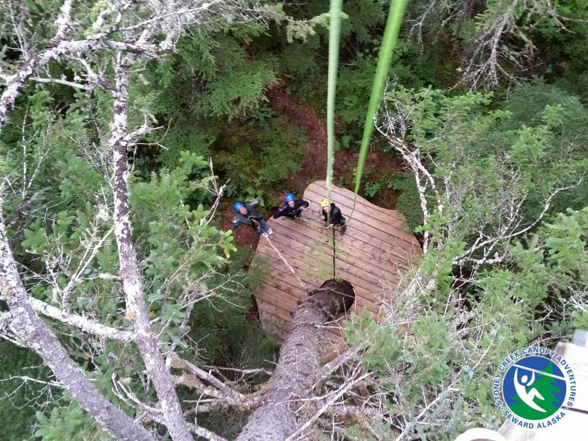 Seward: Stoney Creek Canopy Adventure - Experience Highlights