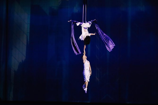 Shanghai Circus World: ERA Intersection of Time Acrobatics Show - Booking Details