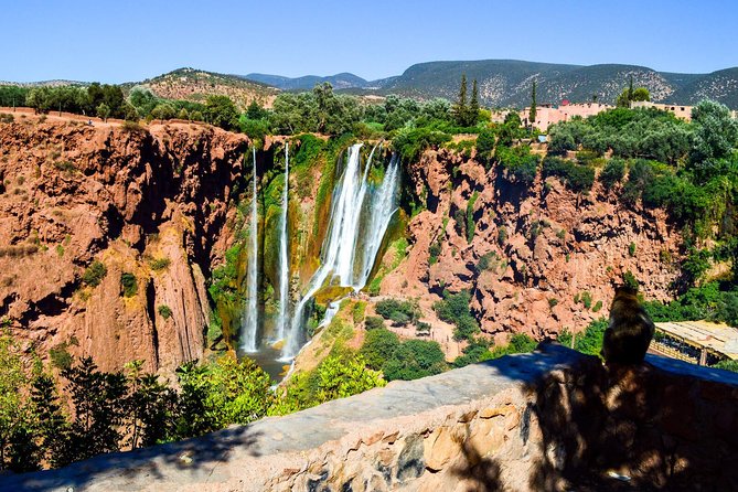 Shared Group Day Trip From Marrakech to Ouzoud Waterfalls - Group Size and Comfort