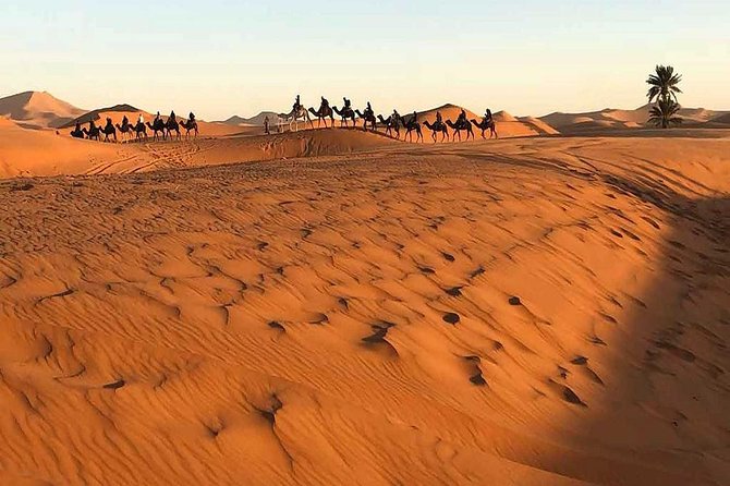 Shared Group Desert Tour From Marrakech to Fes 3 Days - Additional Traveler Information