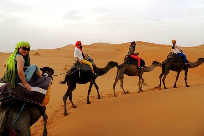 Shared Group Fez to Fez Sahara Tour 2days/1night - Itinerary Highlights