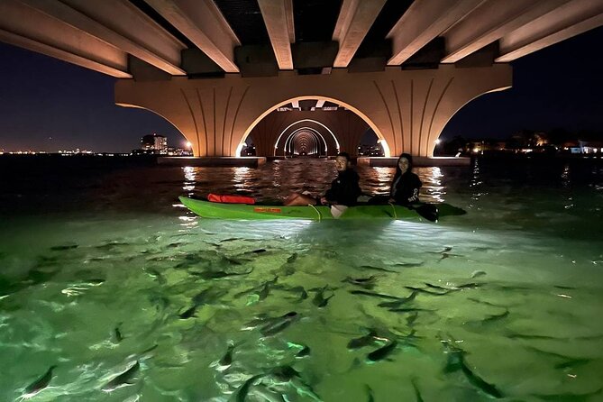 Sharkeys LED Illuminated Night Tour on Glass Bottom Kayaks in St. Pete Beach - Safety Measures and Equipment