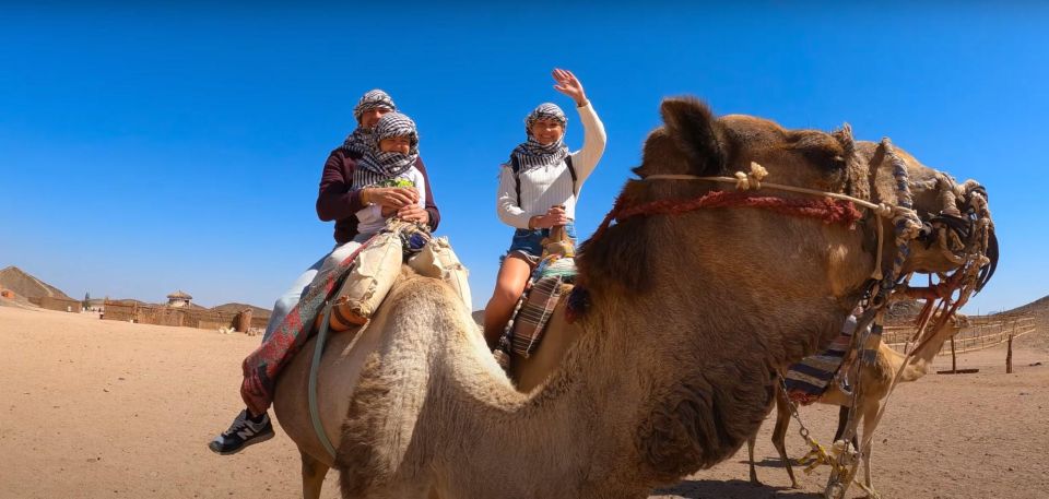 Sharm: Arabian Adventure Horse Ride & Camel Ride W Breakfast - Transportation and Pickup