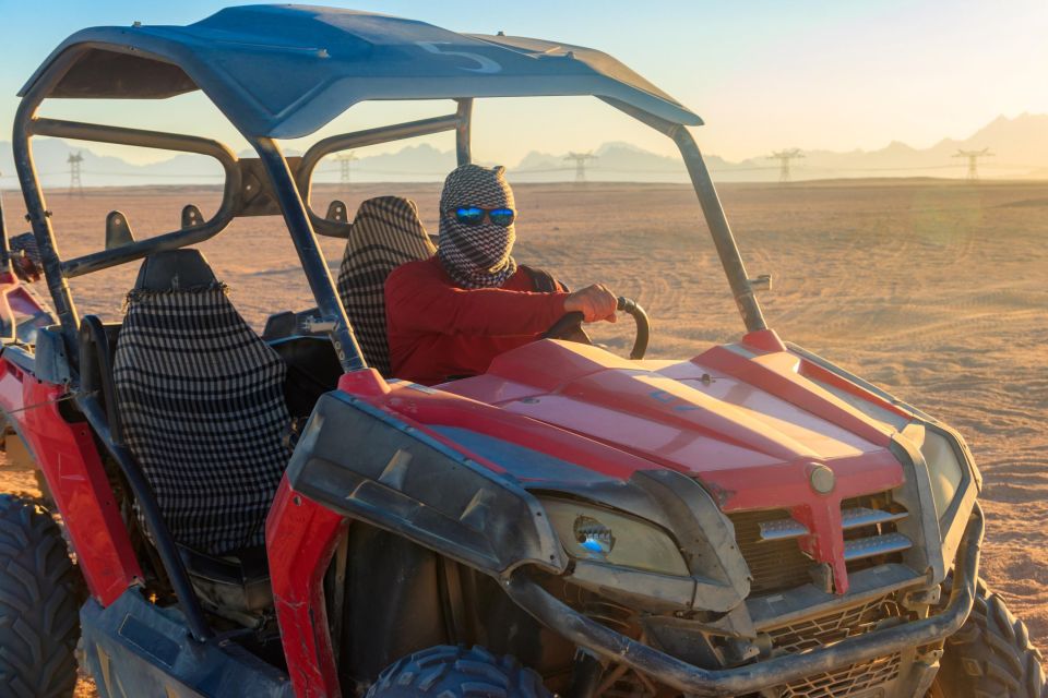 Sharm: Desert Adventures ATV, Buggy, Horse Ride & Camel Ride - Highlights of the Adventure