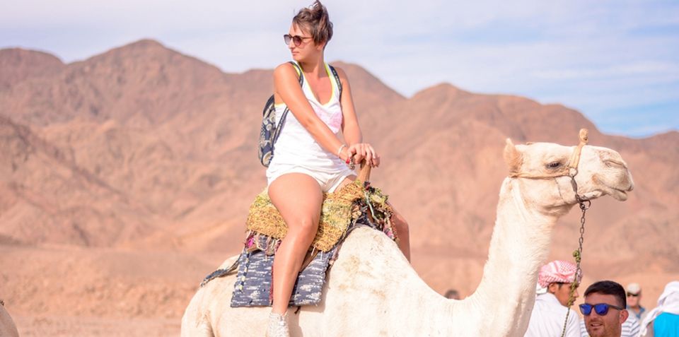 Sharm El Sheikh Camel Riding Safari Tour - Experience Details