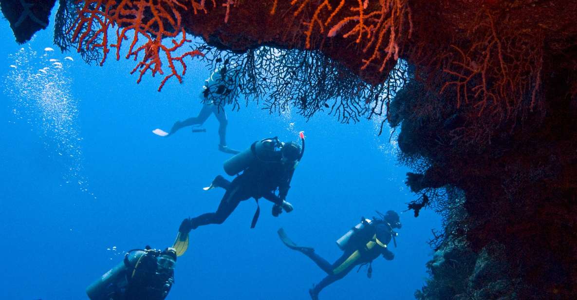 Sharm El-Sheikh: White Island & Ras Mohammed Snorkel Trip - Trip Highlights