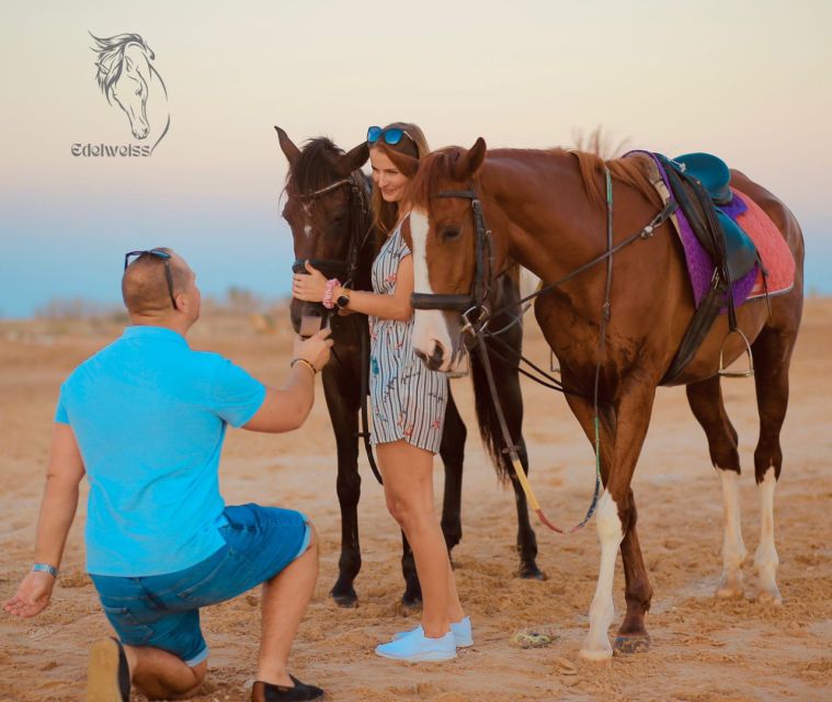 Sharm El Shiekh: Beach and Desert Horse Riding Tour - Experience Itinerary