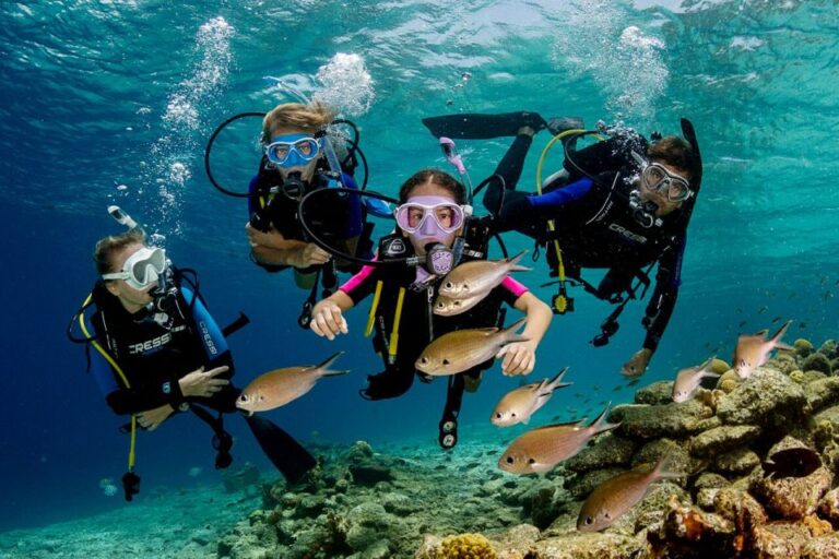 Sharm: Ras Mohamed Diving Boat Trip With Private Transfers