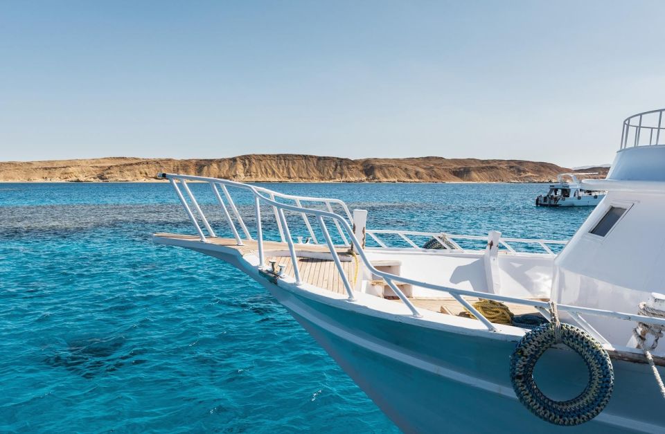 Sharm: White Island and Ras Mohamed With Private Transfers - Highlights