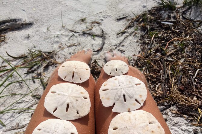 Shell Key Ferry From Ft. Desoto Boat Ramp in Tierra Verde, FL - Ticket and Fare Details