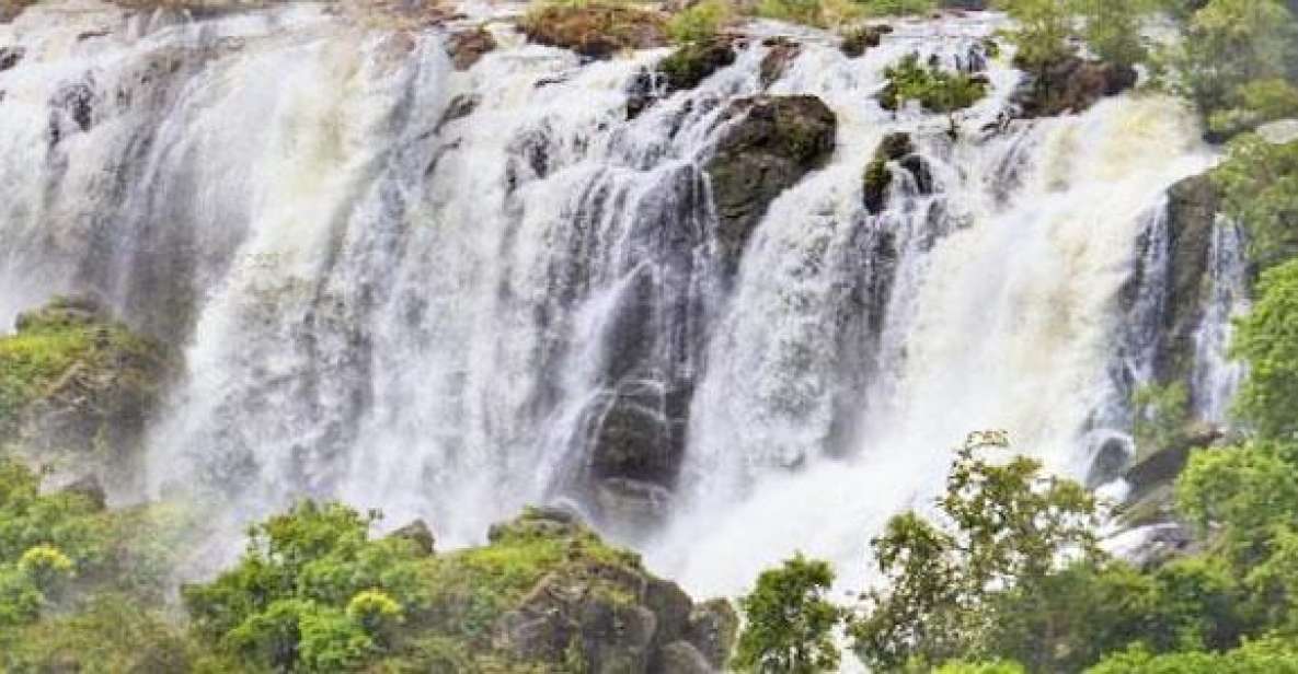 Shivanasamudra Waterfalls & Ancient Somnathpur Tour - Experience Highlights