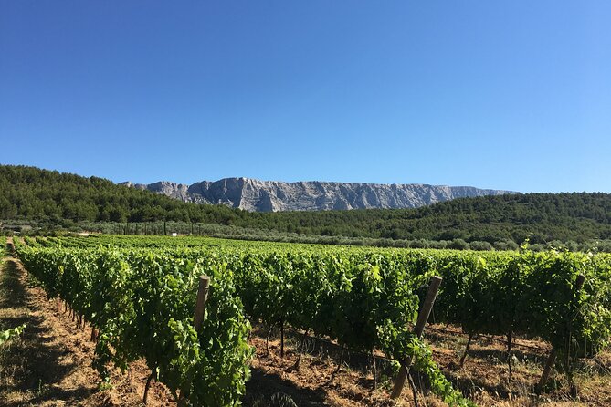 Short Day Tour Around Aix En Provence and Wine Tasting - Lunch Arrangements