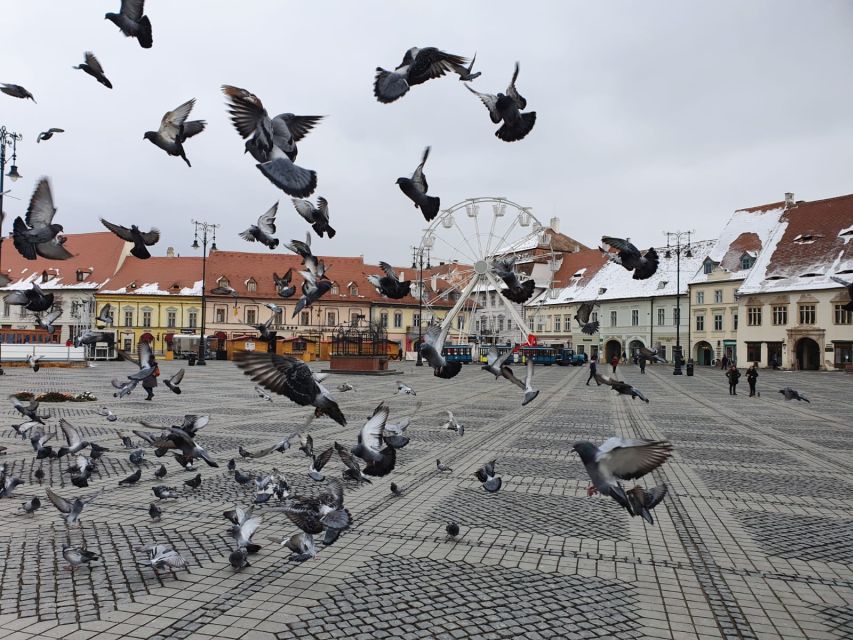 Sibiu City Tour - Private Day Trip From Bucharest - Itinerary