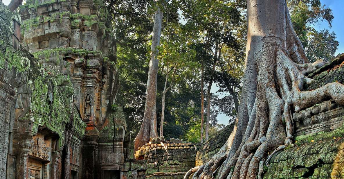 Siem Reap: Angkor Wat: Small-Group Sunrise Tour - Itinerary Highlights