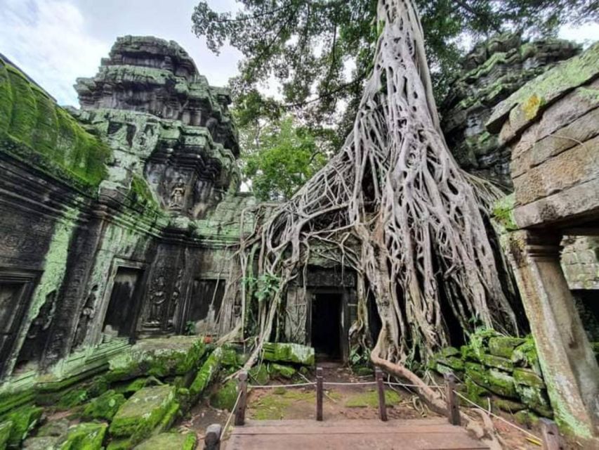 Siem Reap: Angkor Wat Sunrise Bike Tour With Breakfast - Experience