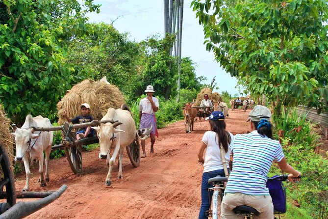 Siem Reap Countryside Jeep Tour - Tour Inclusions