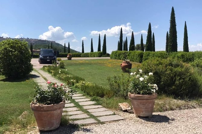 Siena, San Gimignano & the Chiantiside Private Tour With Mercedes V Class Van - Booking Information