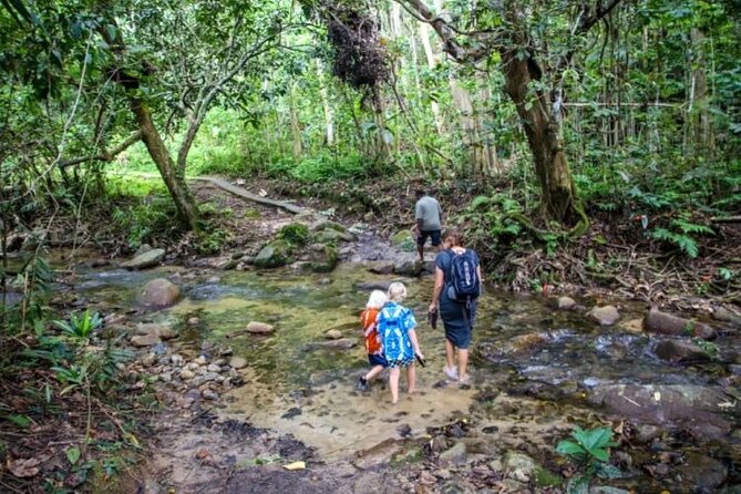 Sigatoka Sand Dunes & Biausevu Waterfall Discovery (Private Tour) - Itinerary Details