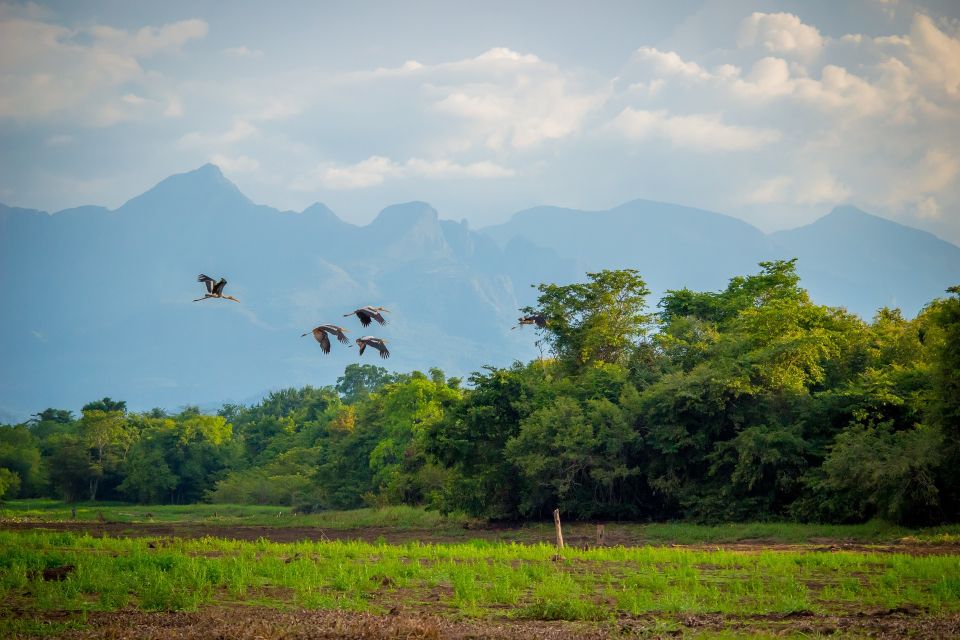 Sigiriya: Guided Bird Watching and Jungle Tour With Lunch - Full Description