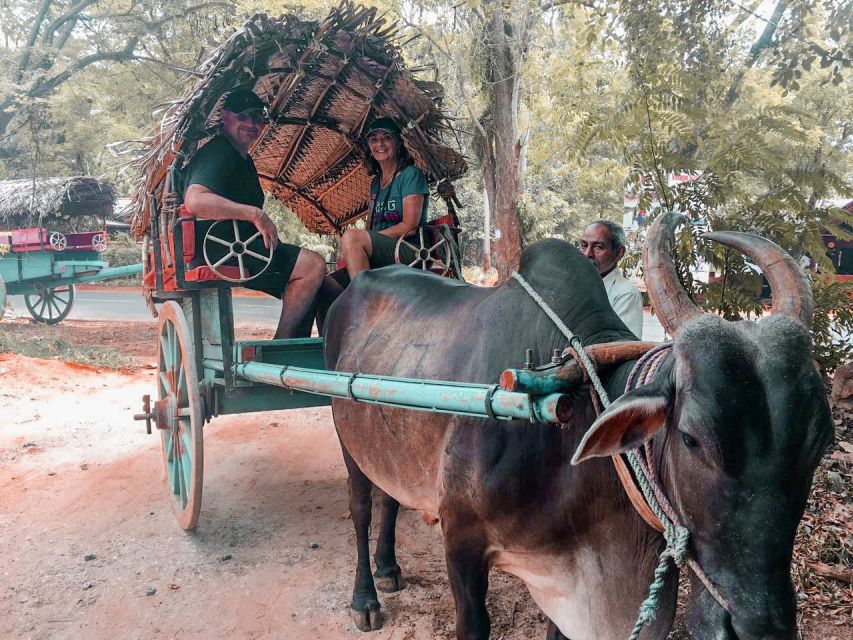 Sigiriya Village Tour and Lunch - Experience Highlights