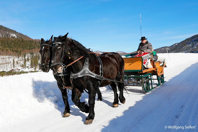 Silent Night in Salzburg Christmas Package - Included Activities