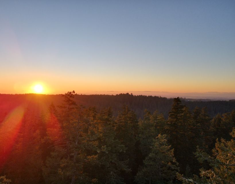 Silver Falls State Park: Tree Climbing Sunset Tour - Experience Highlights